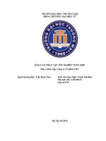 Báo cáo khoa thương mại điện tử đại học thương mại tại công ty cổ phần iNET