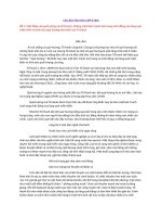 một số bài văn tham khảo lớp 8 ( rất hay, bài làm đầy đủ ý chính)