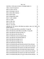 Xây dựng mô hình dao động hoàn chỉnh cho robot 6 chân dạng RHex có cột sống đàn hồi.