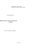 Luận văn thạc sĩ Phân loại các dạng ánh xạ co cơ bản