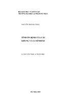 Luận văn thạc sĩ Tính ổn định của các khung và cơ sở Riesz