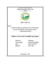 Đánh giá hiệu quả kinh tế của cây bí xanh tại xã Yên Trạch  huyện Phú Lương  tỉnh Thái Nguyên