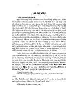 Hoàn thiện công tác thẩm định dự án đầu tư trong hoạt động cho vay trung và dài hạn tại Ngân hàng Đầu tư  Phát triển Việt Nam