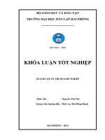 MỘT SỐ BIỆN PHÁP NÂNG CAO HIỆU QUẢ SỬ DỤNG NGUỒN NHÂN LỰC TẠI CÔNG TY CỔ PHẦN PHÁT TRIỂN CÔNG NGHIỆP TÀU THỦY NAM SƠN