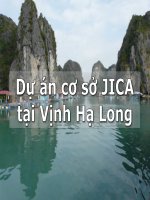 Dự án cơ sở JICA tại vịnh hạ long