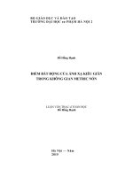 Luận văn thạc sĩ điểm bất động của ánh xạ kiểu giãn trong không gian metric nón