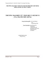 Thương mại điện tử thái độ và hành vi của người tiêu dùng 