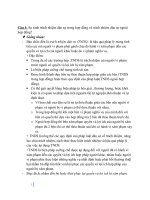 Bài tiểu luận trách nhiệm dân sự