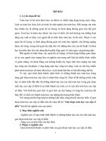 lịch sử toán. giai đoạn toán học cổ điển