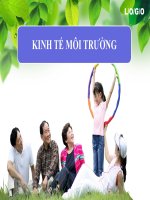 GIẤY PHÉP PHÁT THẢI có THỂ CHUYỂN NHƯỢNG 