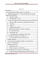 BÁO CÁO Thực tập tốt nghiệp Làng trẻ em SOS Hà Nội