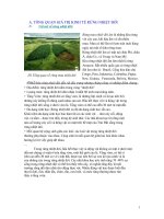 Tiểu luận giá trị kinh tế của rừng nhiệt đới 