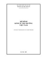 Giáo trình mô hình kinh tế thị trường việt nam