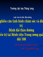 Nghiên cứu thực trạng chăm sóc bệnh nhân đái tháo đường nội trú tại bệnh viện tư 108 năm 2015 
