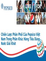 Chính sách phân phối của công ty Pepsico