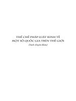 THỂ CHẾ PHÁP LUẬT KINH TẾ MỘT SỐ QUỐC GIA TRÊN THẾ GIỚI
