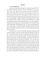 Tuyên truyền xây dựng nông thôn mới ở tỉnh thái bình hiện nay