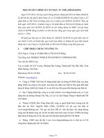 MỘT SỐ NÉT CHÍNH VỀ CTCP ĐẦU TƯ THẾ GIỚI DI ĐỘNG