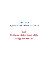 NGHIÊN CỨU VĂN HÓA DOANH NGHIỆP CỦA TẬP ĐOÀN MAI LINH