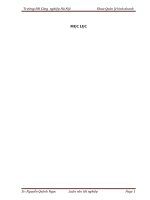 Giải pháp nâng cao hiệu quả sử dụng vốn lưu động tại công ty cổ phần may và thương mại quốc tế INDICO