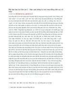 Bài tập học kỳ Dân sự 1 - Hậu quả pháp lý của hợp đồng dân sự vô hiệu