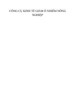 Tiểu luận công cụ kinh tế giảm ô nhiễm nông nghiệp