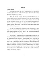 Tiểu luận hành vi của nhà đầu tư trên thị trường chứng khoán việt nam 