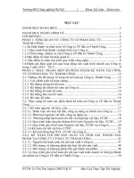 Thực trạng một số phần hành kế toán chủ yếu tại Công ty cổ phần Đầu tư Thành Công