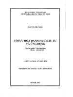Luận văn tối ưu hóa danh mục đầu tư và ứng dụng 