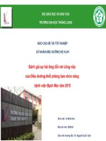 Sự hài lòng đối với công việc và các yếu tố liên quan của điều dưỡng khu vực phòng ban chức năng bệnh viện bạch mai năm 2015 