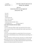 MẪU BÁO CÁO THÀNH TÍCH THI GVCN GIỎI