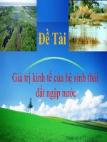 Giá trị kinh tế của hệ sinh thái đất ngập nước 