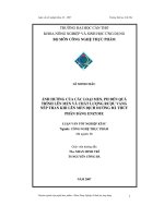 Ảnh hưởng của các loại men  ph đến quá trình lên men và chất lượng rượu van