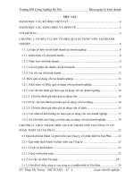 Giải pháp nâng cao hiệu quả sử dụng vốn tại Công ty Cổ phần thiết bị Tân Phát