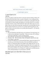 Phân tích công cụ phái sinh của công ty cao su Phước Hòa