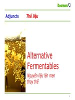 2 adjunct and cereal cooker  translated v1 03 07 2015