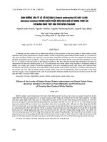 ẢNH HƯỞNG của tỷ lệ cỏ SETARIA (setaria sphacelata) và RAU LANG (ipomoea batatas) TRONG KHẨU PHẦN đến HIỆU QUẢ sử DỤNG THỨC ăn và NĂNG SUẤT THỊT của THỎ NEW ZEALAND 