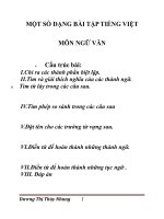 các bài tập ôn tập tiếng việt lớp 9