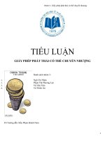 TIỂU LUẬN GIẤY PHÉP PHÁT THẢI có THỂ CHUYỂN NHƯỢNG 