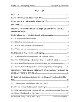 Giải pháp nâng cao hiệu quả sử dụng vốn tại Công ty Cổ phần thiết bị Tân Phát