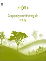 BÀI TIỂU LUẬN môn KINH tế môi TRƯỜNG công cụ quyền sở hữu trong bảo vệ rừng 