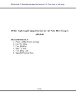 Thực trạng và giải pháp cho hoạt động tín dụng thuê mua tại việt nam 