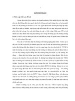 Tiểu luận hoàn thiện kiểm toán báo cáo tài chính của các công ty niêm yết trên thị trường chứng khoán việt nam 