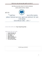 nợ xấu và nguyên nhân gây ra nợ xấu của một số ngân hàng thương mại tại TP HCM 