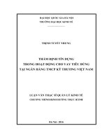 Thẩm định tín dụng trong hoạt động cho vay tiêu dùng tại ngân hàng TMCP kỹ thương việt nam
