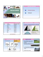 Tài liệu kinh tế nước Anh British Economy Lecture 5   british economy   for ss