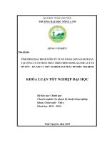 Tình hình mắc bệnh viêm tử cung ở đàn lợn nái sinh sản tại Công ty cổ phần Phát triển Bình Minh, xã Phù Lưu Tế  Mỹ Đức  Hà Nội và thử nghiệm hai phác đồ điều trị bệnh