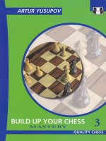 Yusupov, artur   build up your chess 3   mastery
