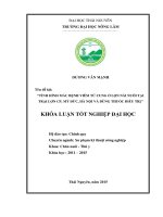 Tình hình mắc bệnh viêm tử cung ở lợn nái nuôi tại trại lợn CP, Mỹ Đức - Hà Nội và dùng thuốc điều trị.