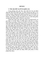 Trách nhiệm hình sự đối với các tội phạm bạo lực gia đình theo pháp luật hình sự việt nam (TT)